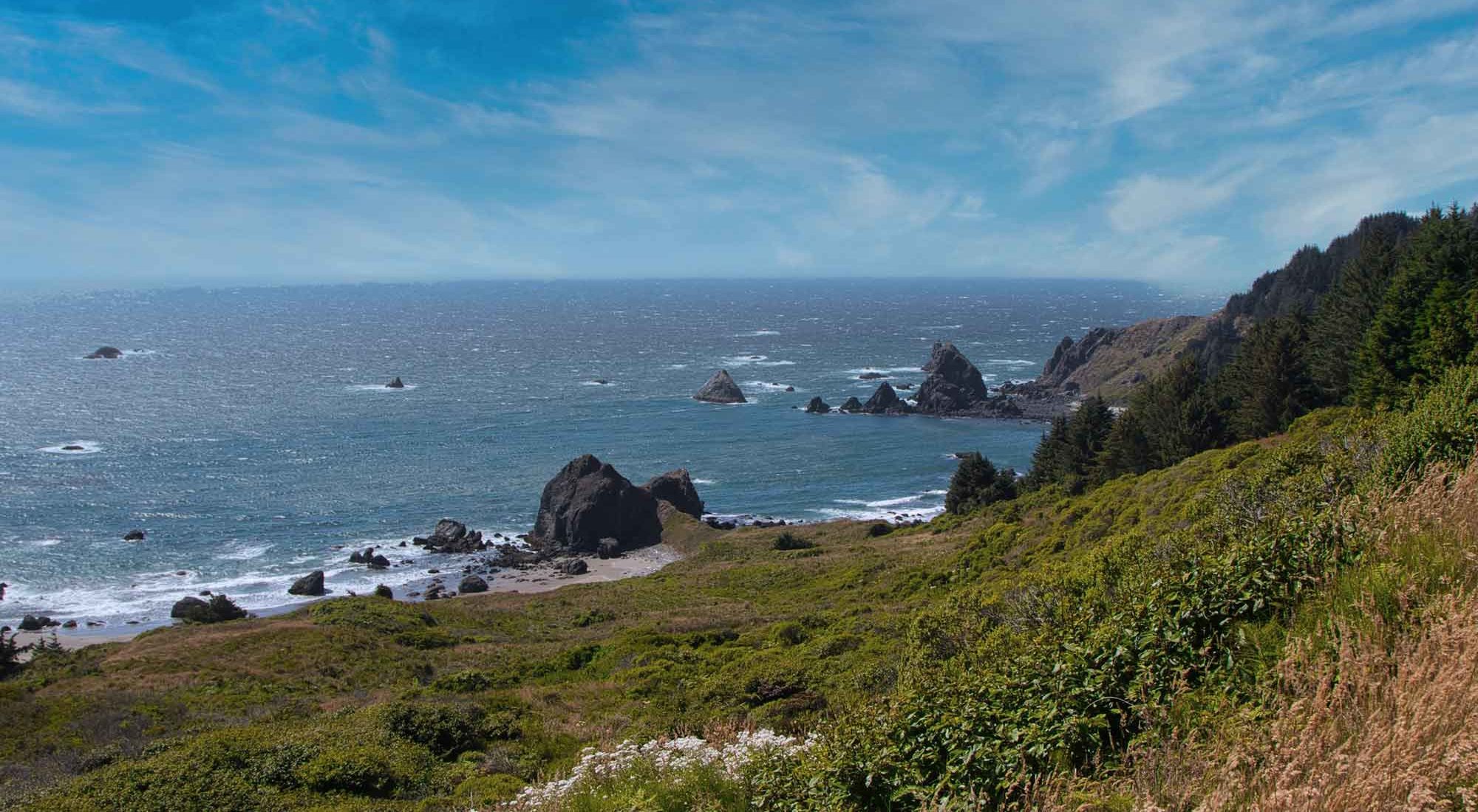 View of coastline in Northern California